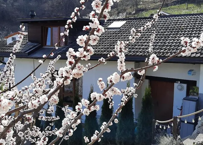 Chalet Grand 6-8 Personnes, Et Randonnées