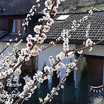 Chalet Grand 6-8 Personnes, Et Randonnees