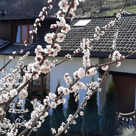 Chalet Grand 6-8 Personnes, Et Randonnées